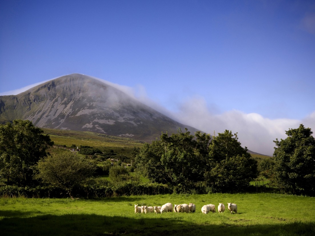 Croagh patrick resized irelandsbluebook